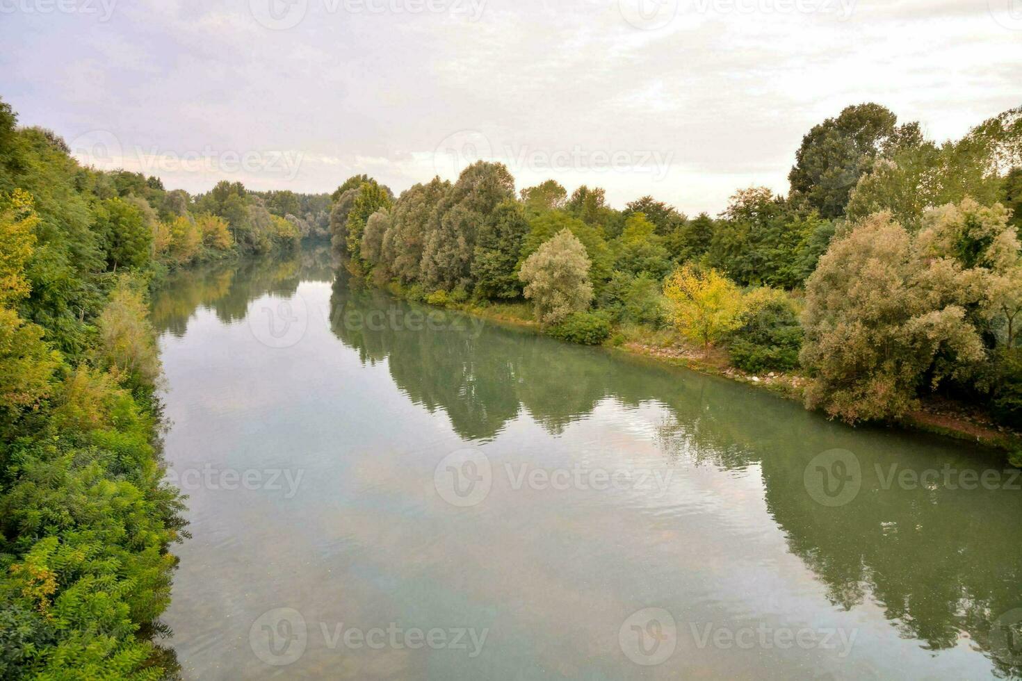 a river surrounded by trees and green grass photo