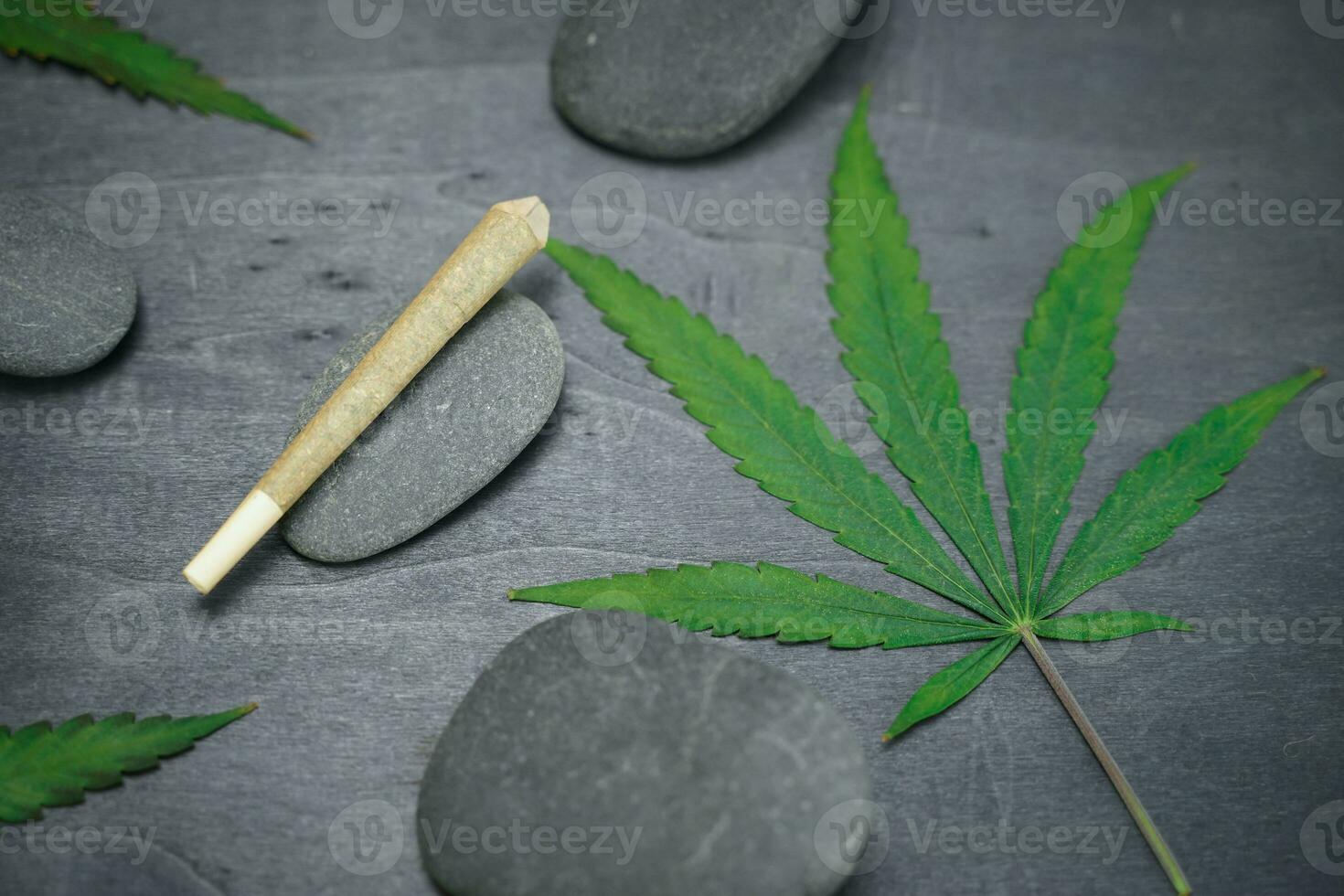 CBD medical marijuana and hemp leaves. Medical cannabis. photo