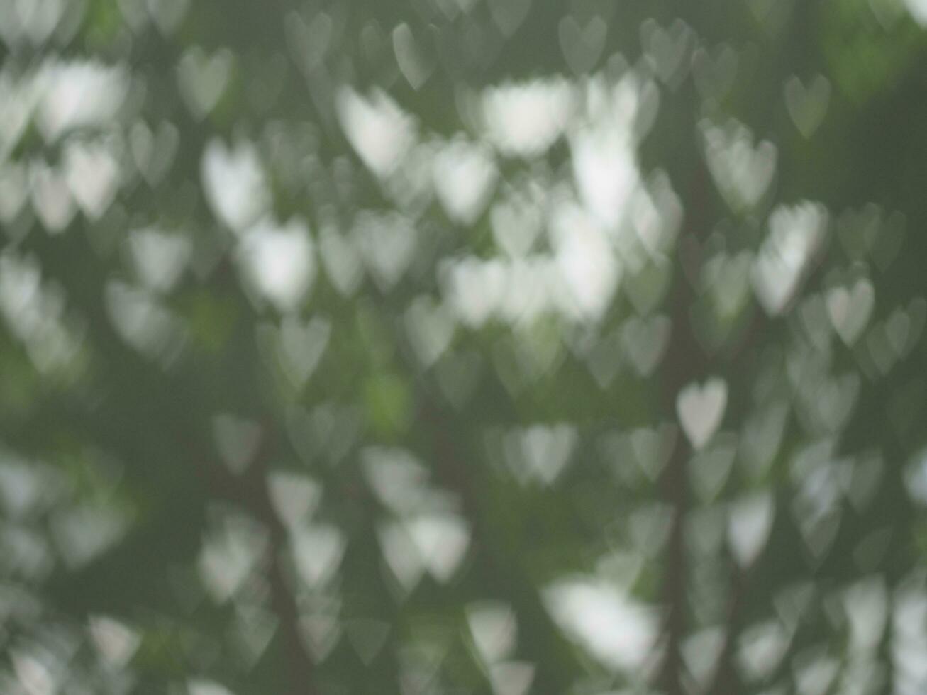 green blur heart bokeh background nature and sweet light blur background green photo