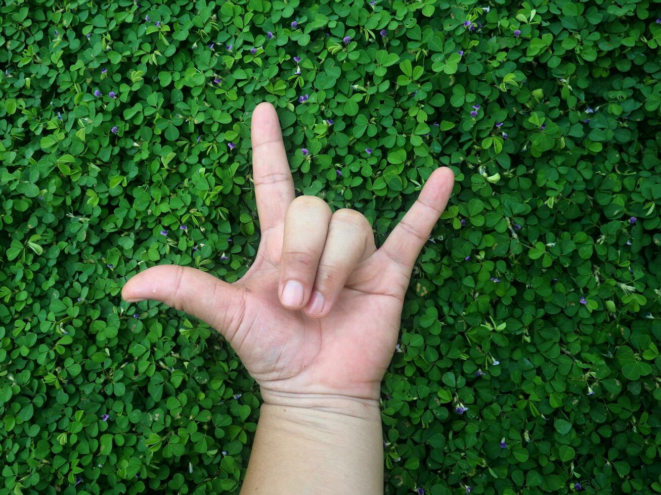 human hand and foot sign on green grass background four leaf cover photo