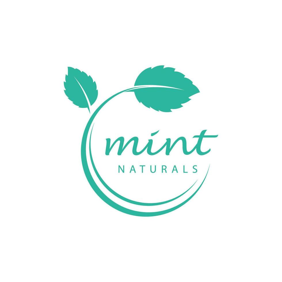 natural hoja menta logo vector modelo símbolo diseño