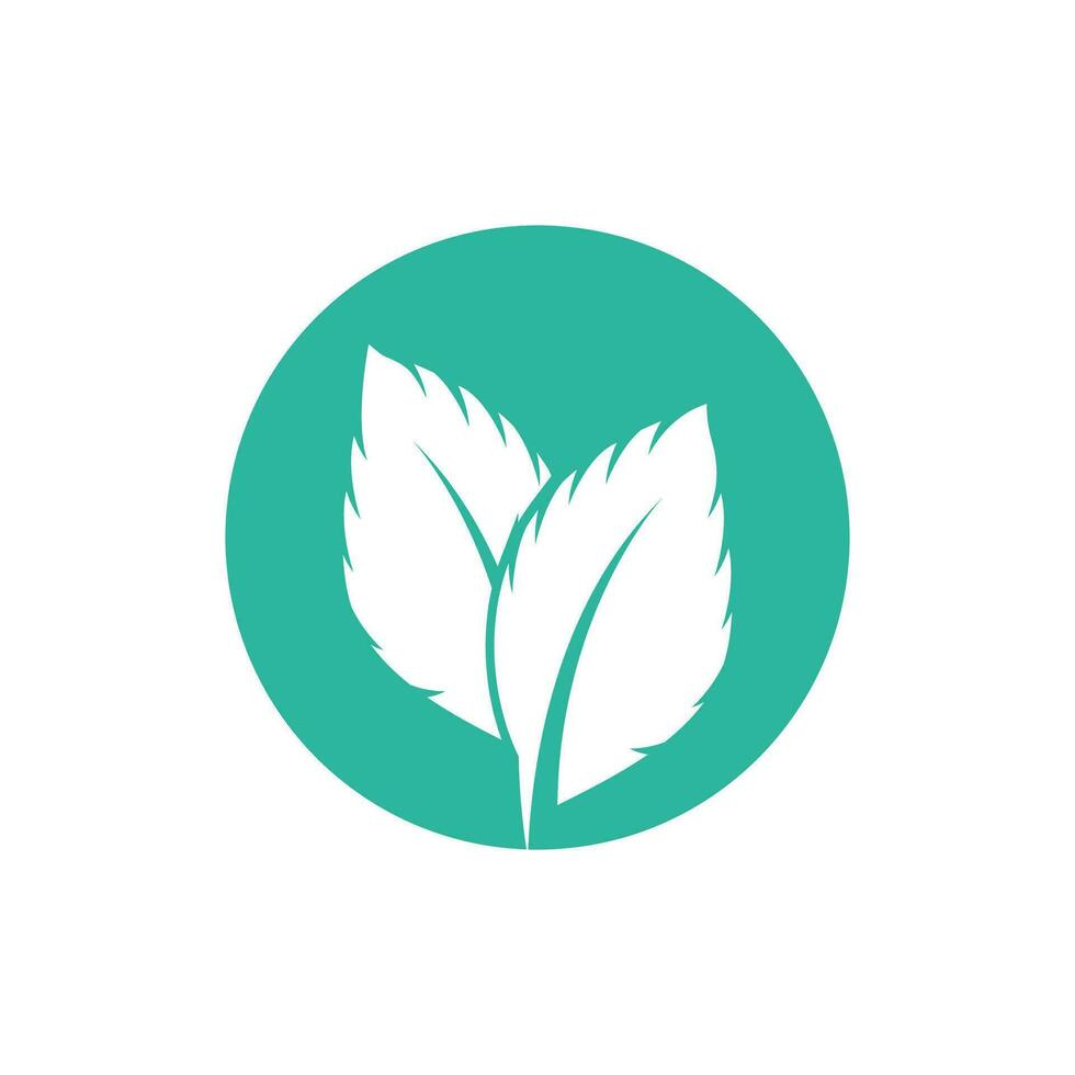Natural leaf mint logo vector template symbol design