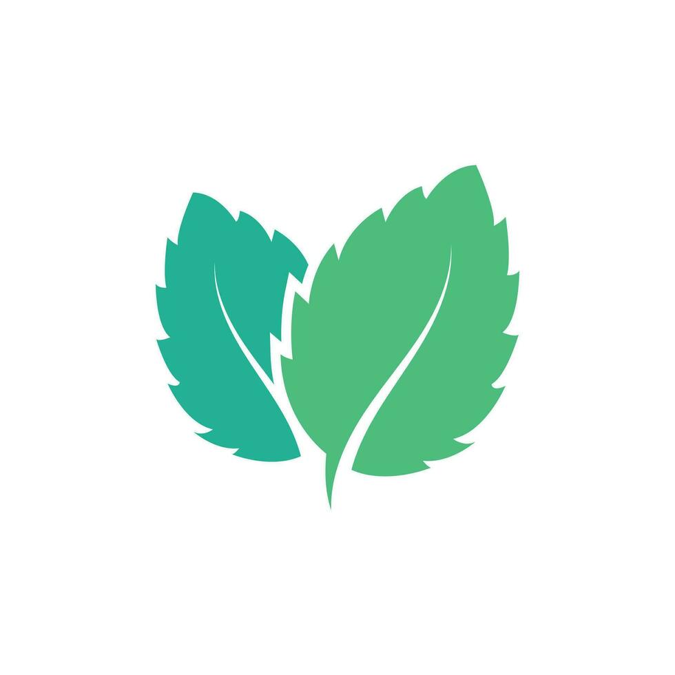 Natural leaf mint logo vector template symbol design