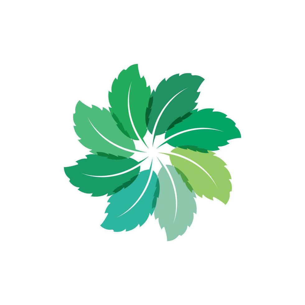 Natural leaf mint logo vector template symbol design