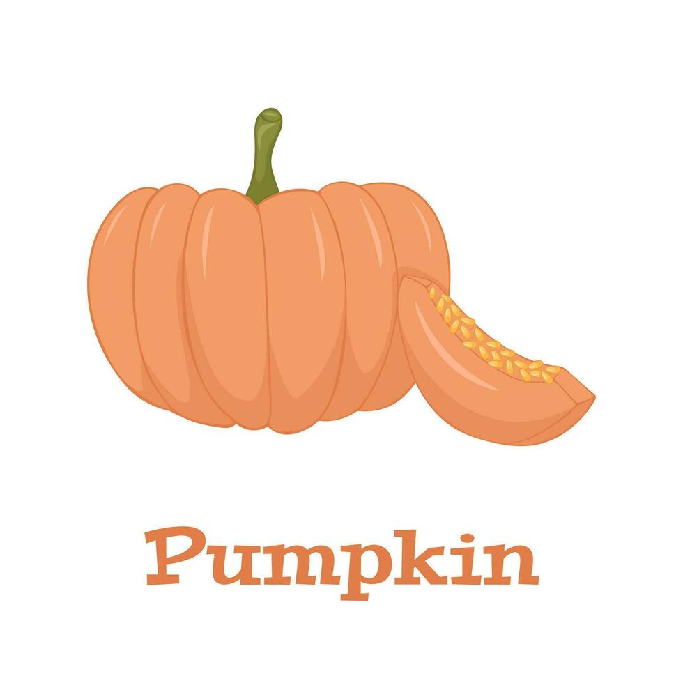 Pumpkin Isolated on White. Flat Design Style. Vector illustration