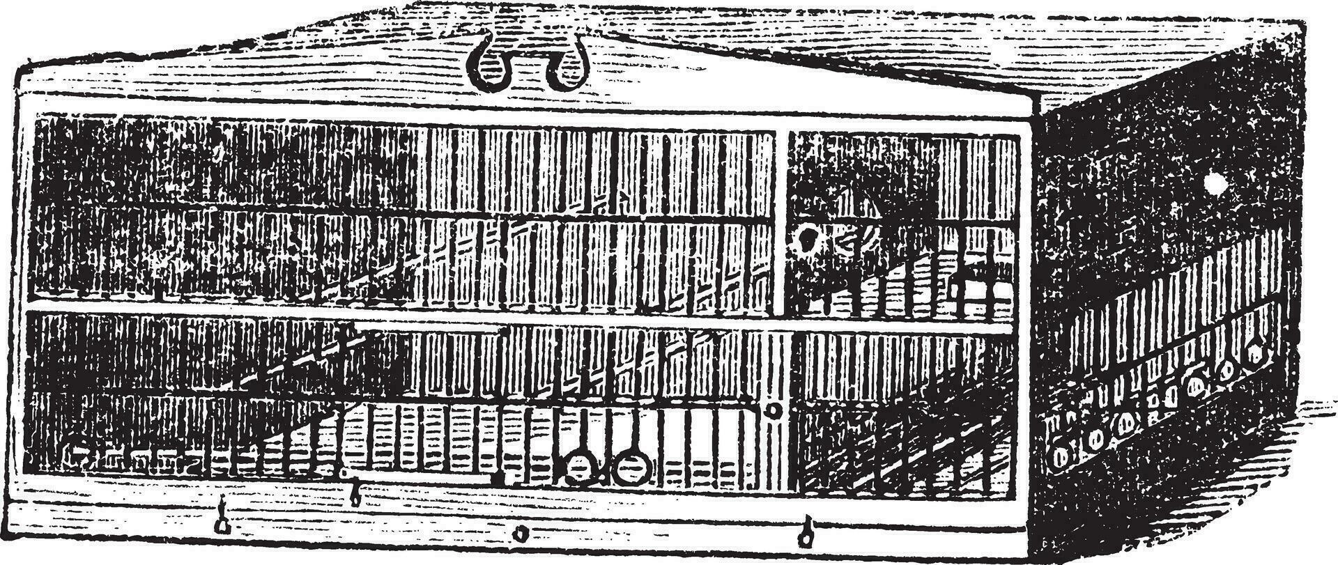 The compartment of cage vintage engraving vector