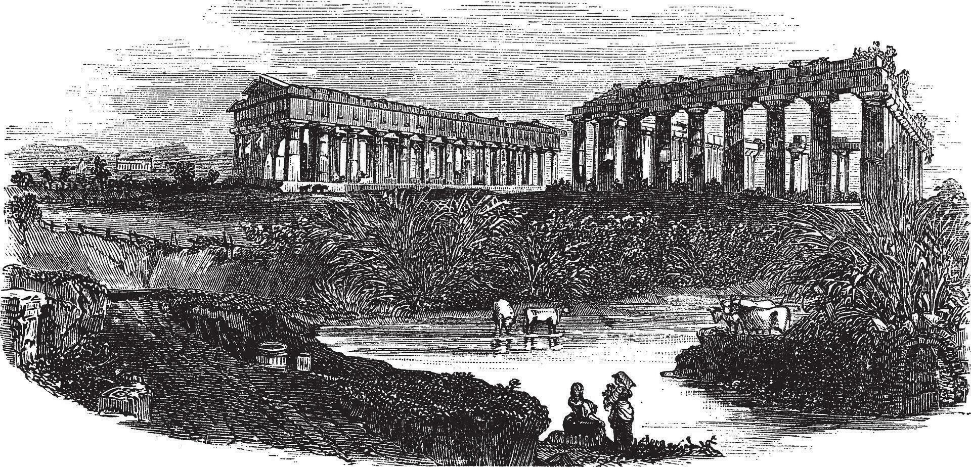The ruins of temples at Paestum in Campania Italy vintage engraving vector