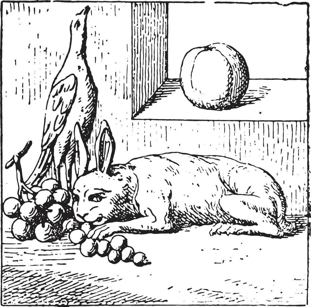 Grapes and game, vintage engraving. vector