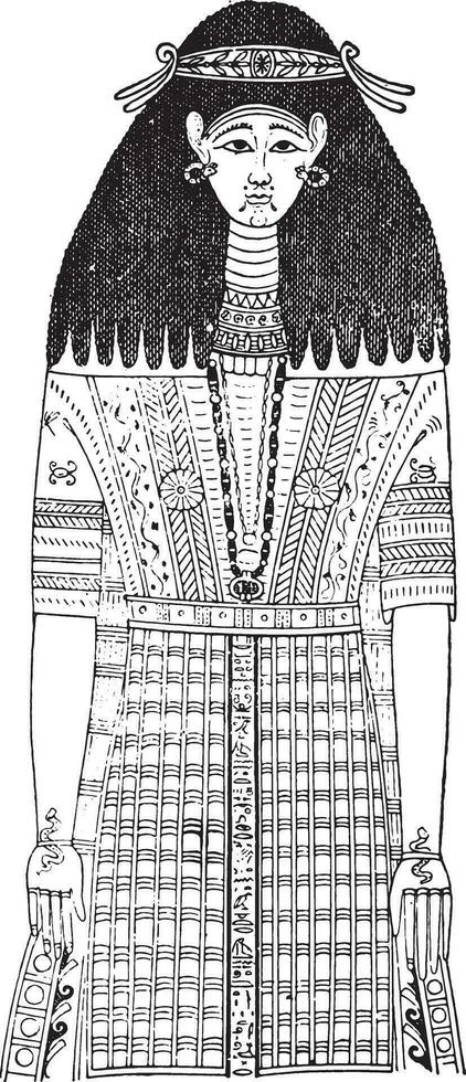 egipcio prenda. en un momia después cuadro, Clásico grabado. vector