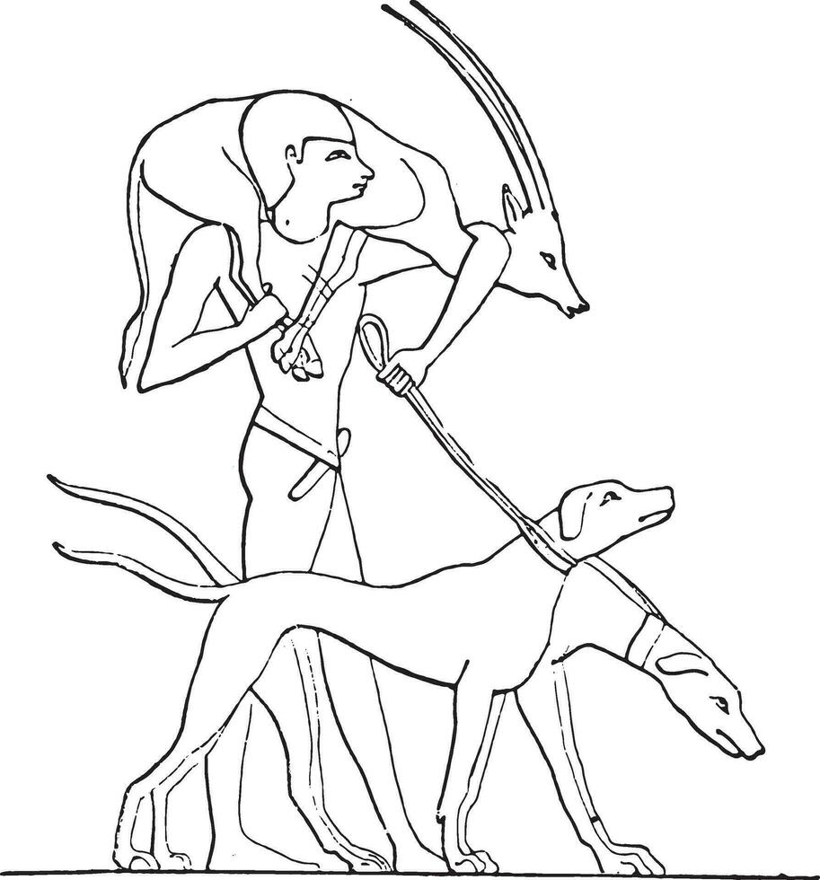 A gazelle hunter, vintage engraving. vector