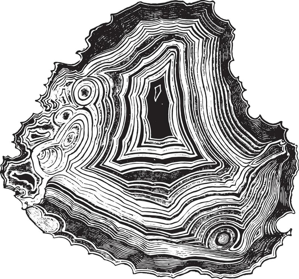 Agate, vintage engraving. vector