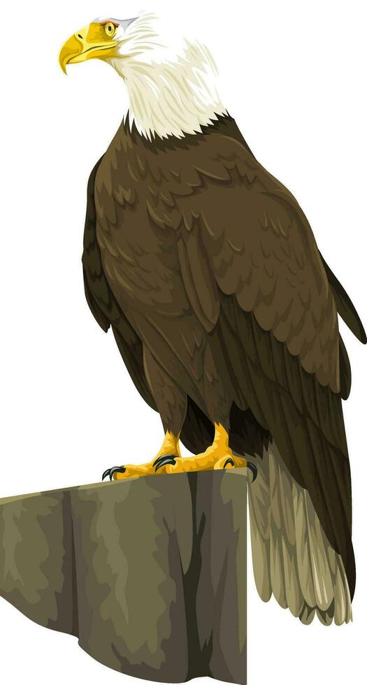 vector de calvo águila.