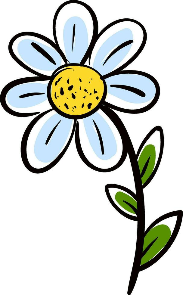 White chamomile flower with green leafs vector illustration on white background.