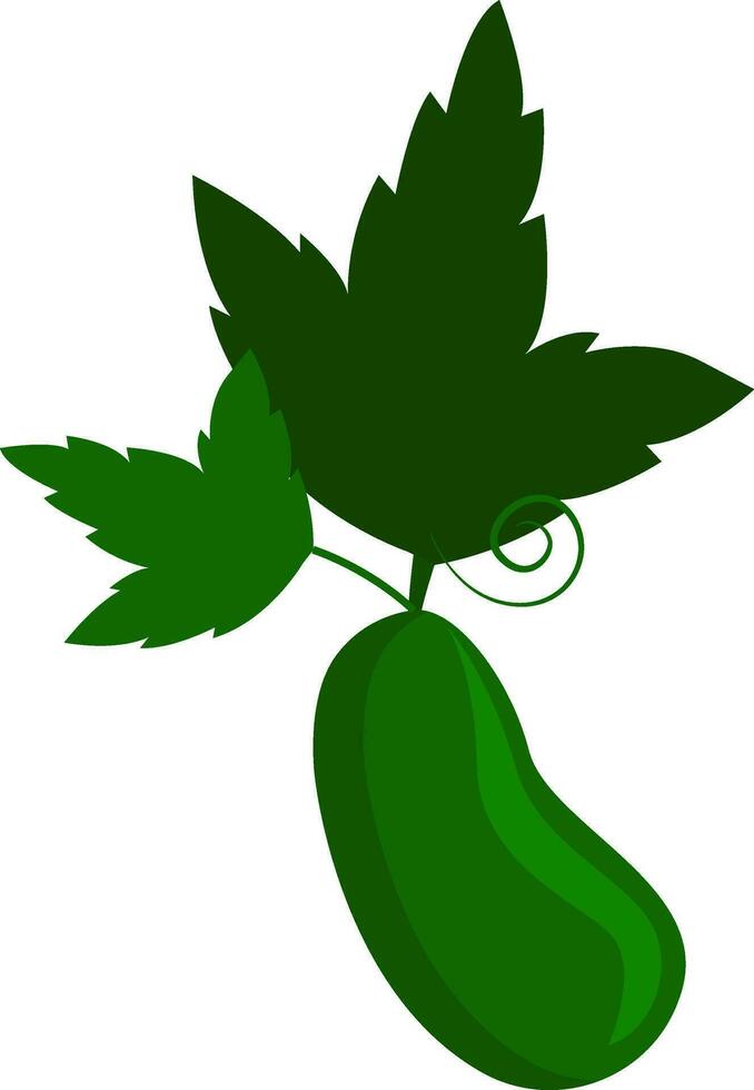 Simple cucumber vector illustration on white background.