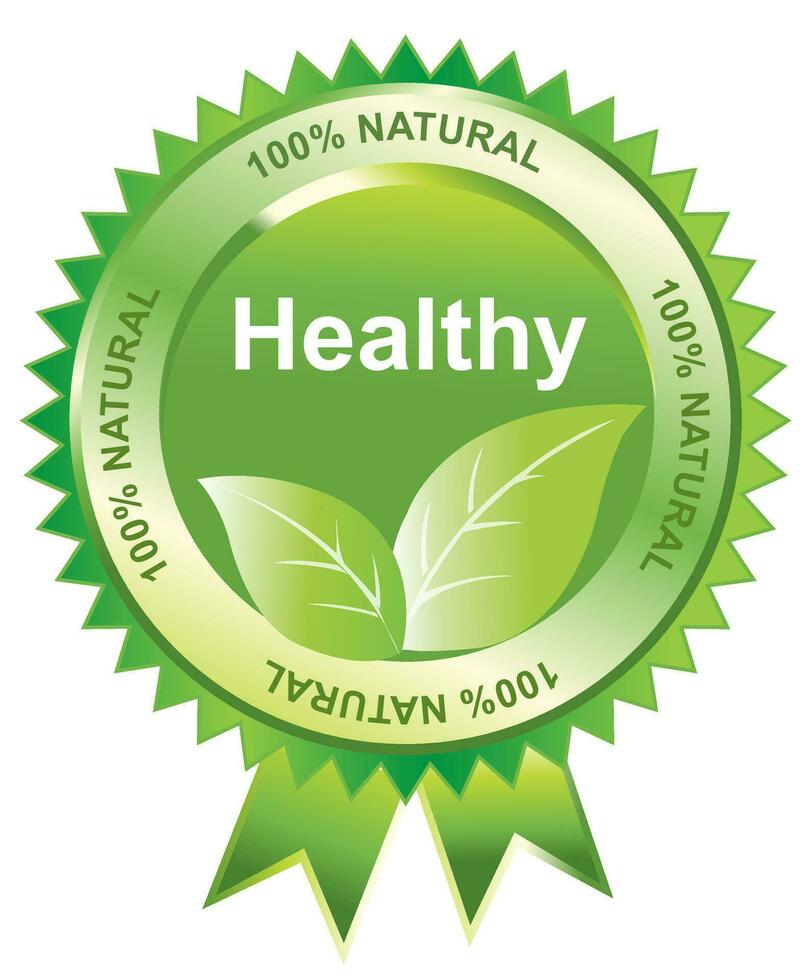 Healthy seal, illustration vector