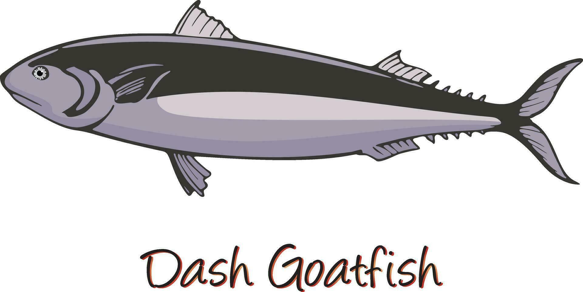 Dash-and-dot Goatfish, Color Illustration vector