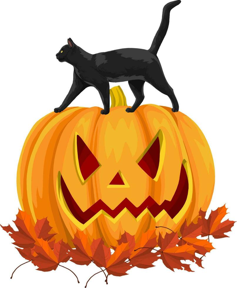vector de negro gato en calabaza con otoño hojas.