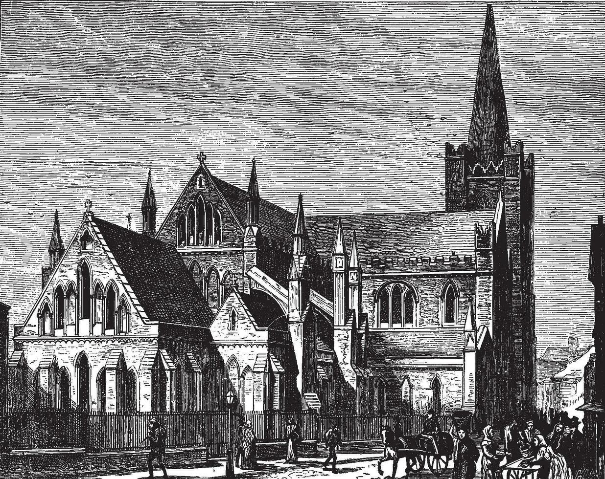 The Cathedral of St. Patrick, vintage engraving. vector