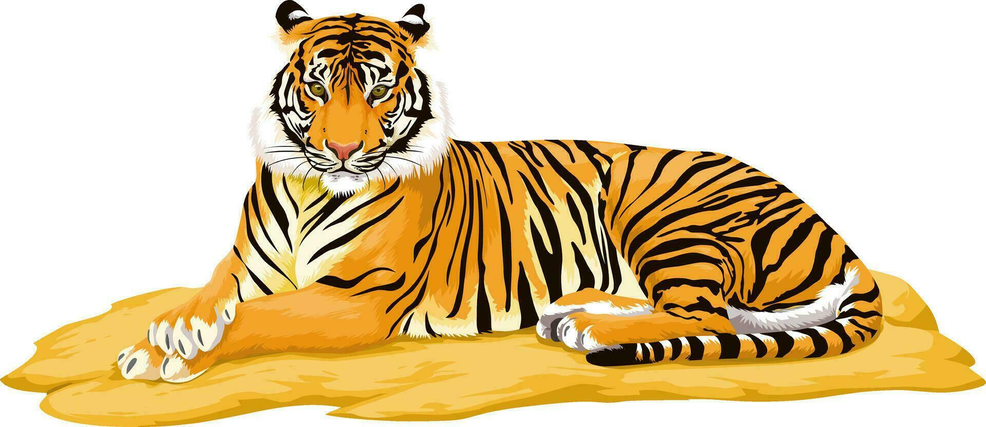 vector de tigre.