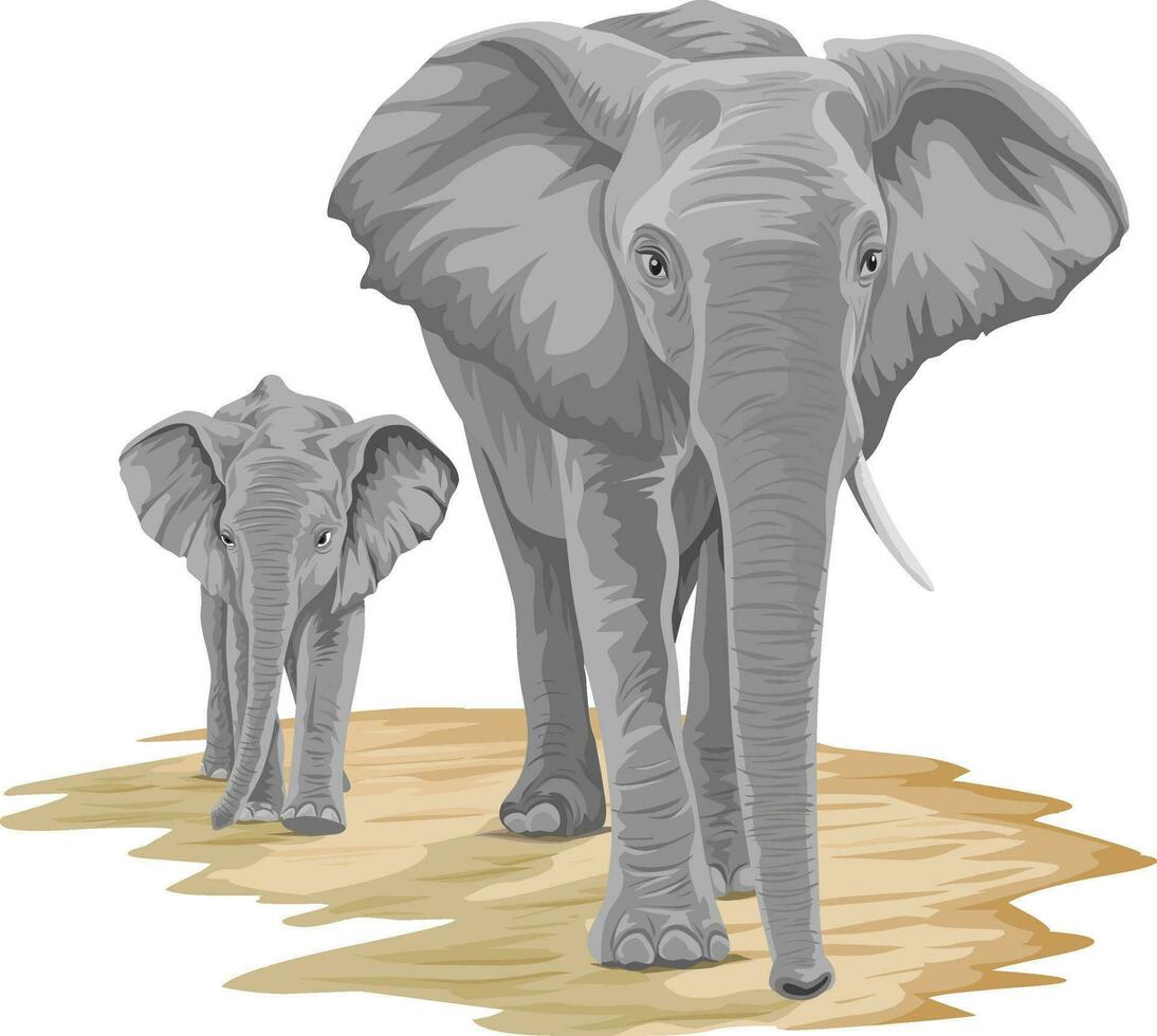 Vector of elephant with calf.