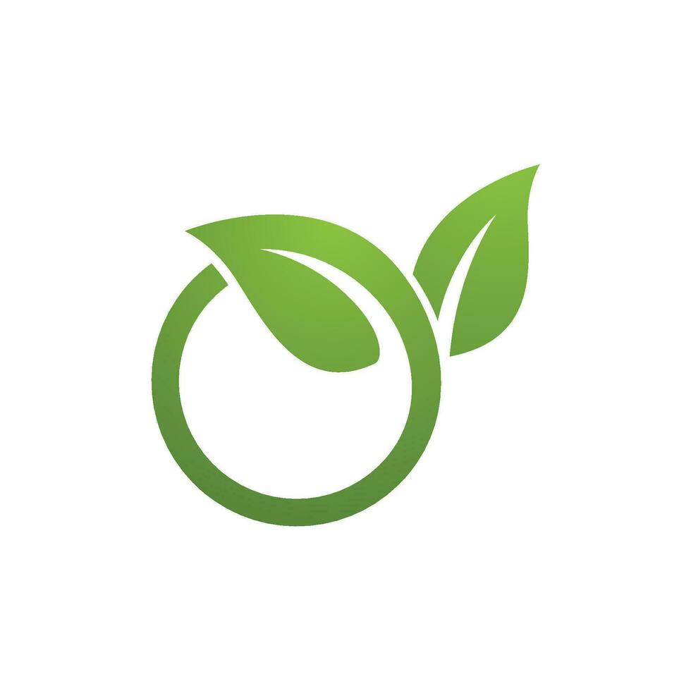 logotipos de la ecología de la hoja del árbol verde vector