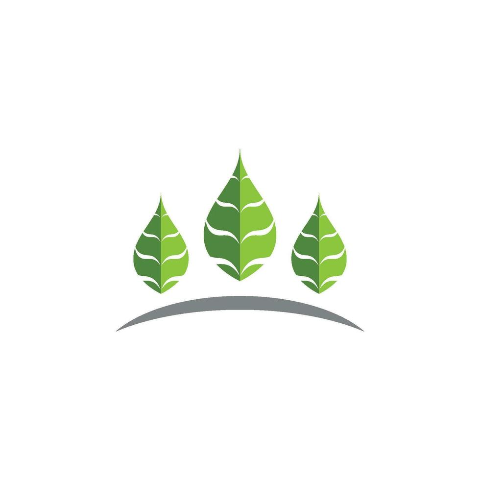 logotipos de la ecología de la hoja del árbol verde vector