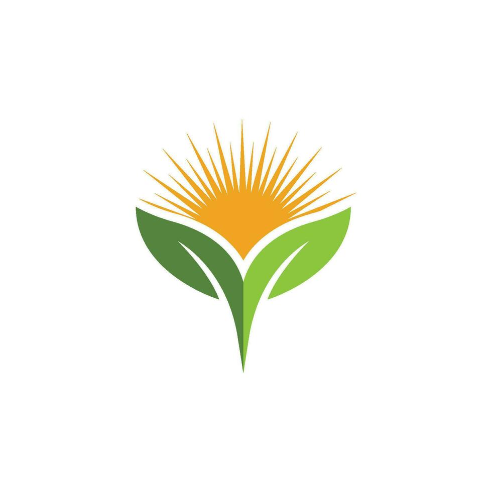 logotipos de la ecología de la hoja del árbol verde vector