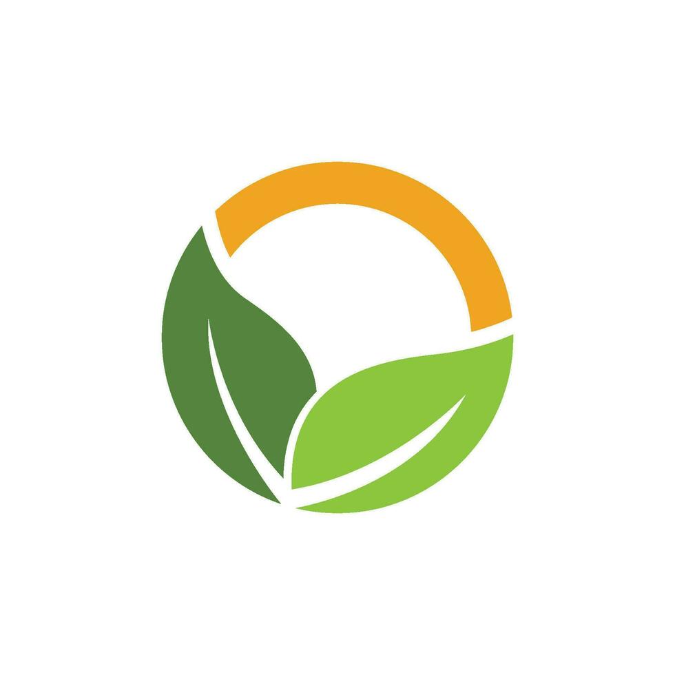 logotipos de la ecología de la hoja del árbol verde vector