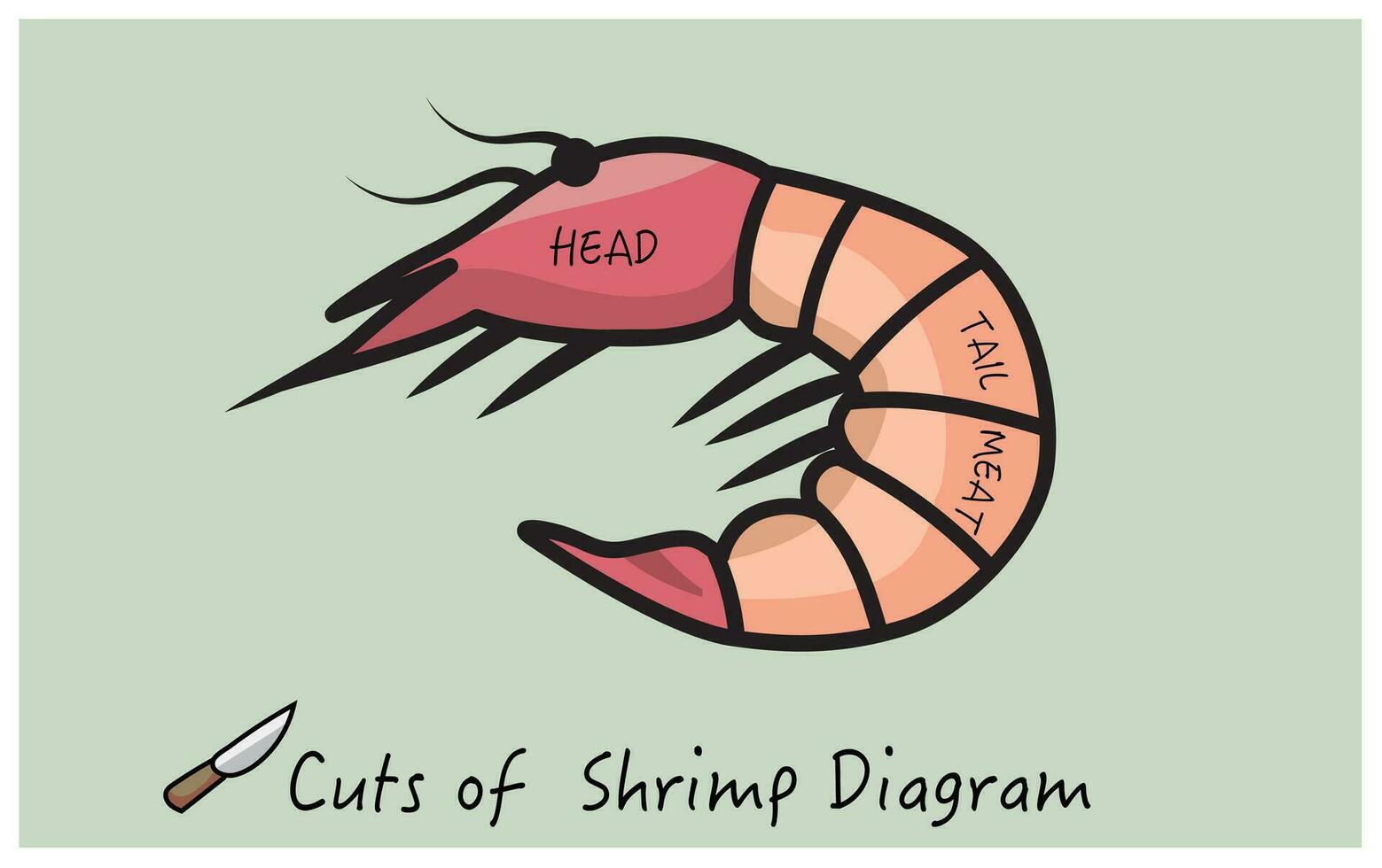 cut of shrimp vector