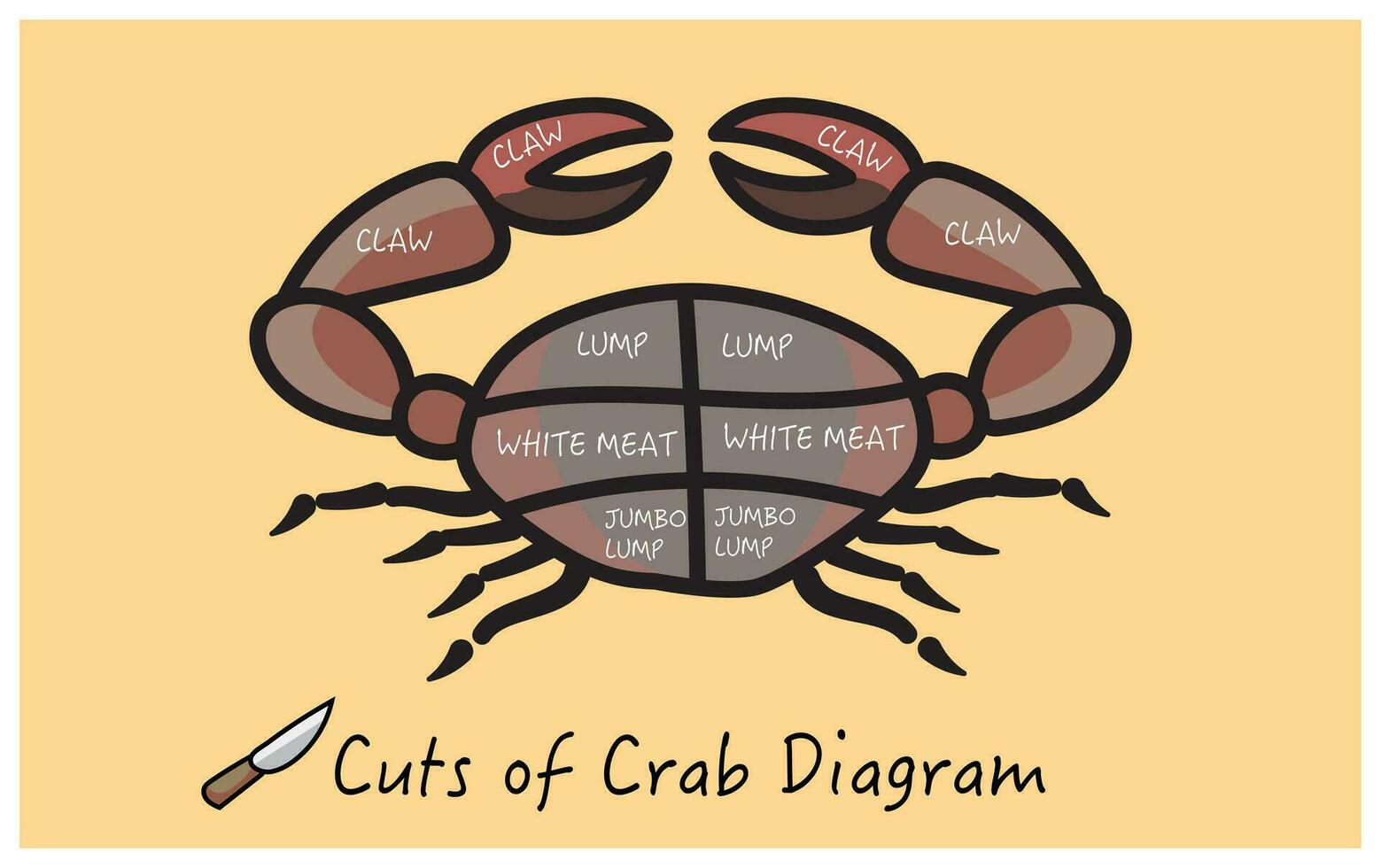 cut of crab vector