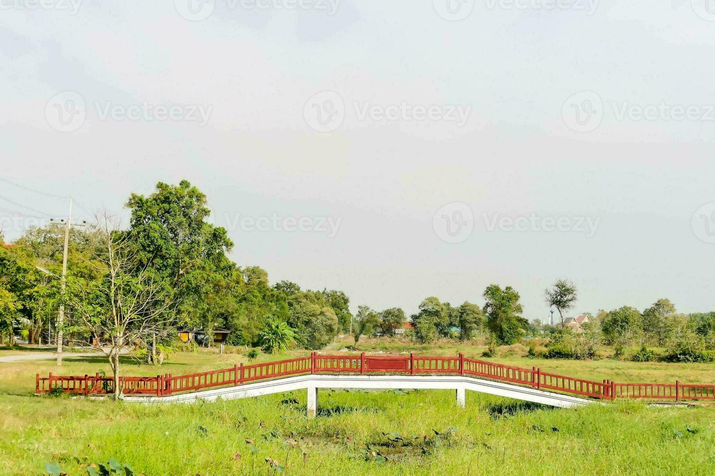 un puente terminado un estanque en un campo foto