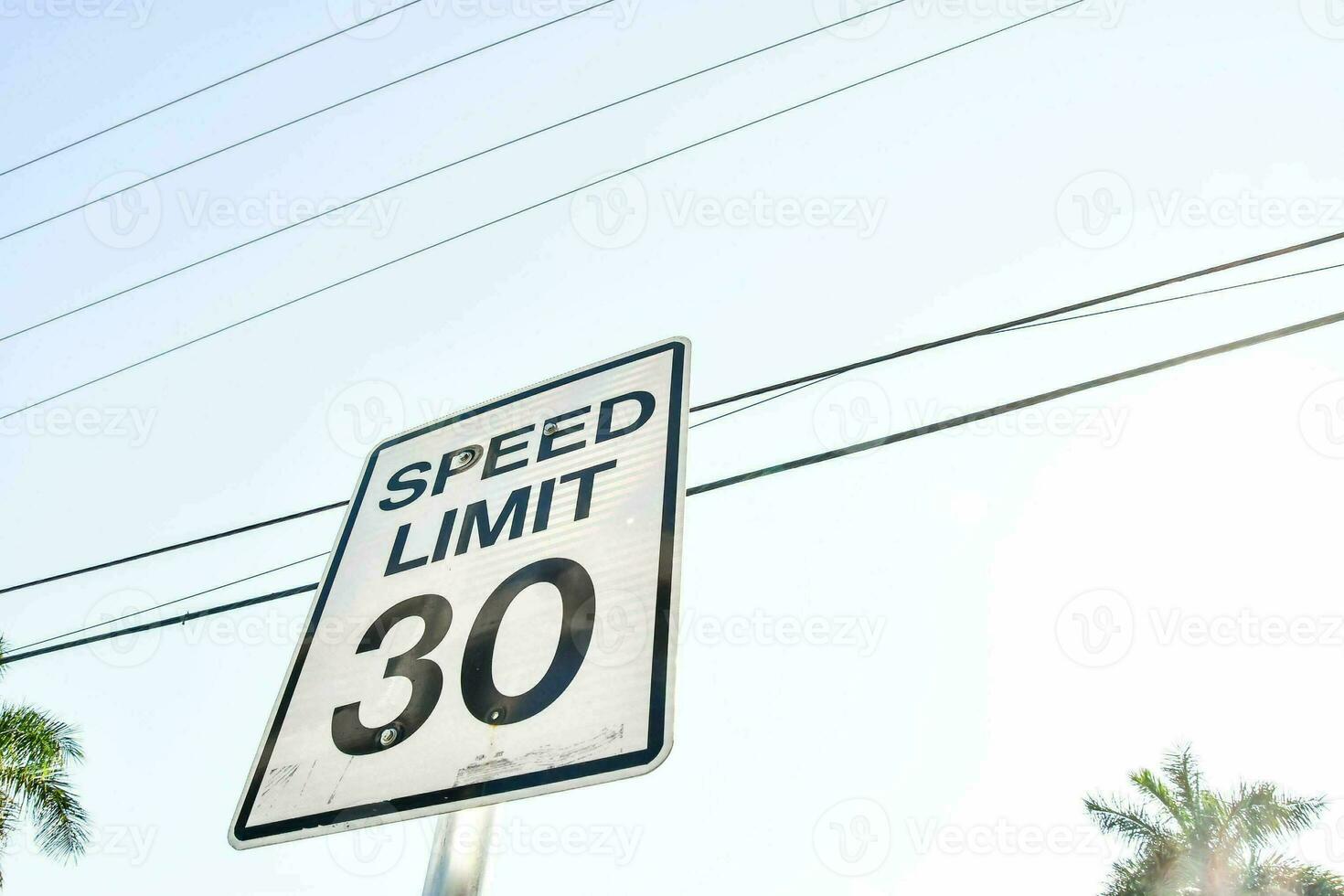 a speed limit sign on a street with palm trees photo