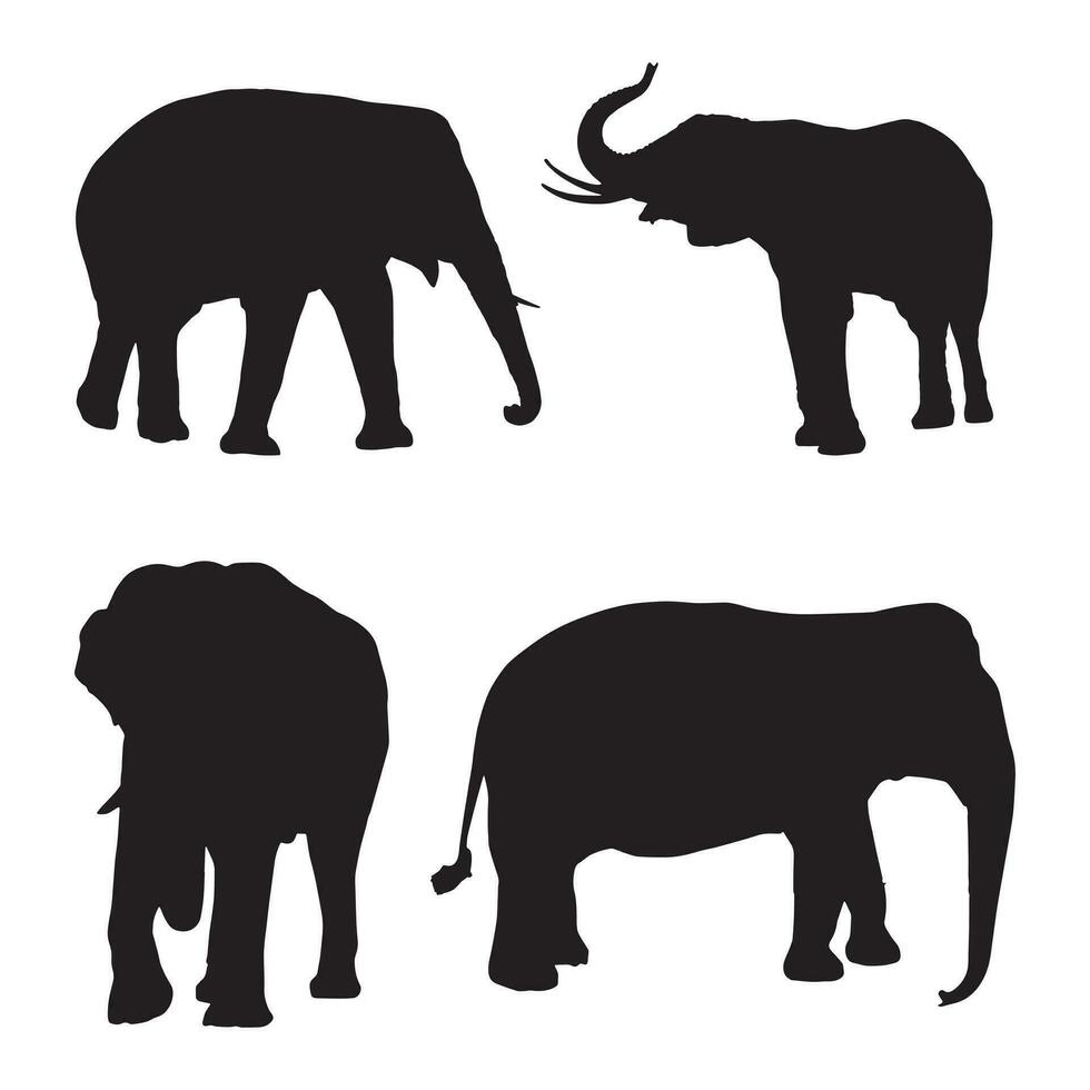 Set of editable vector silhouettes of African elephants in various poses