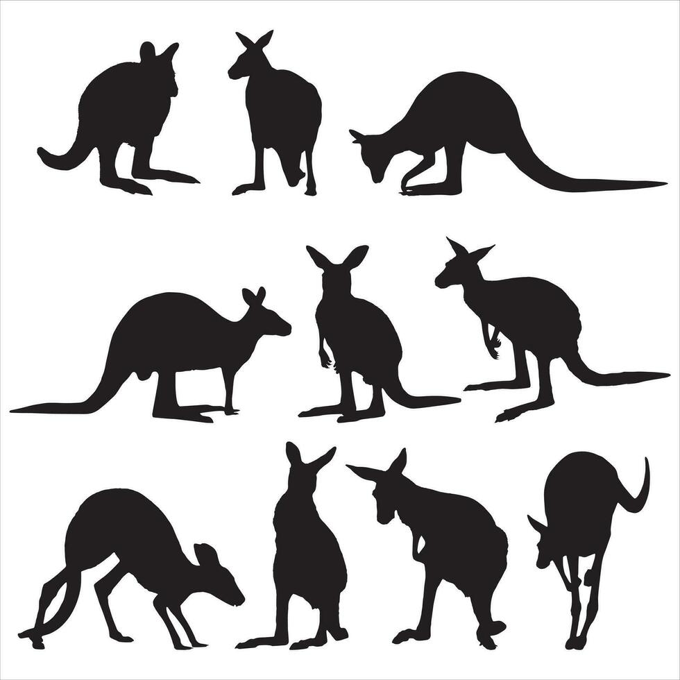 Set of kangaroo Silhouettes on a white background. vector
