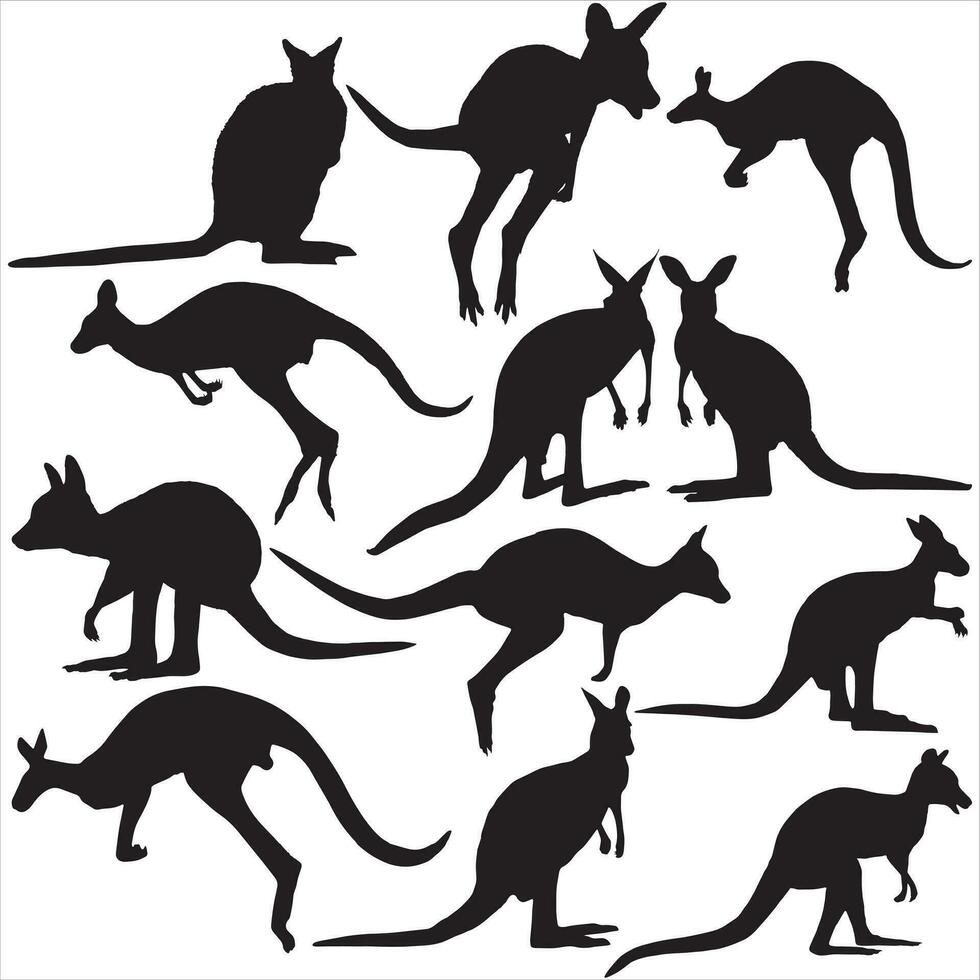 Set of kangaroo Silhouettes on a white background. vector