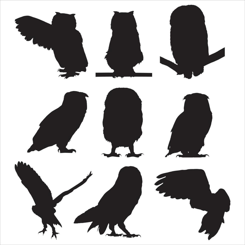 conjunto de búhos silueta manojo, animal iconos, fauna silvestre vector