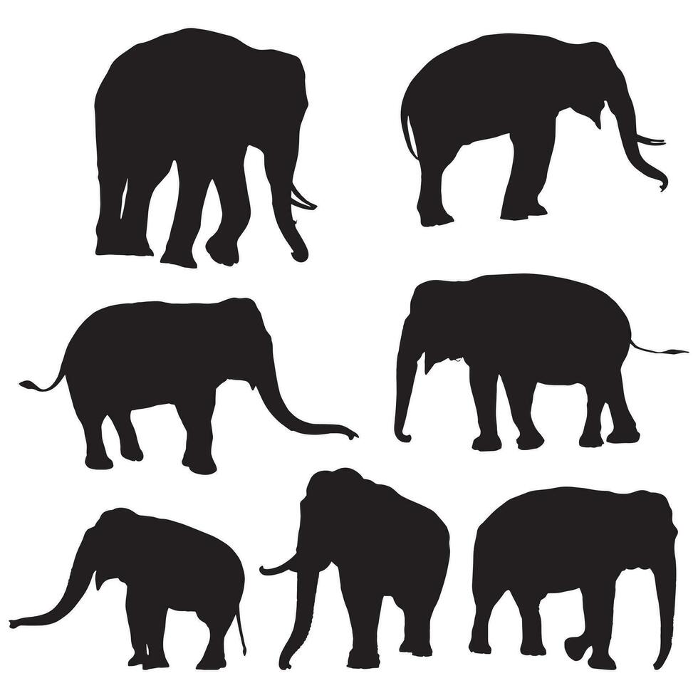 Set of editable vector silhouettes of African elephants in various poses