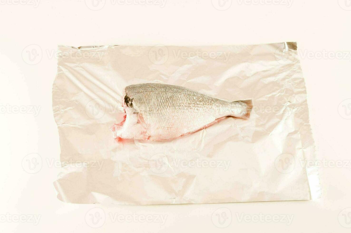 a fish is sitting on a piece of aluminum foil photo