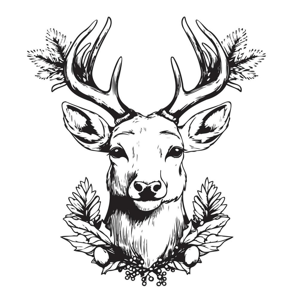 Deer, reindeer or elk isolated sketch of wild mammal animal. vector