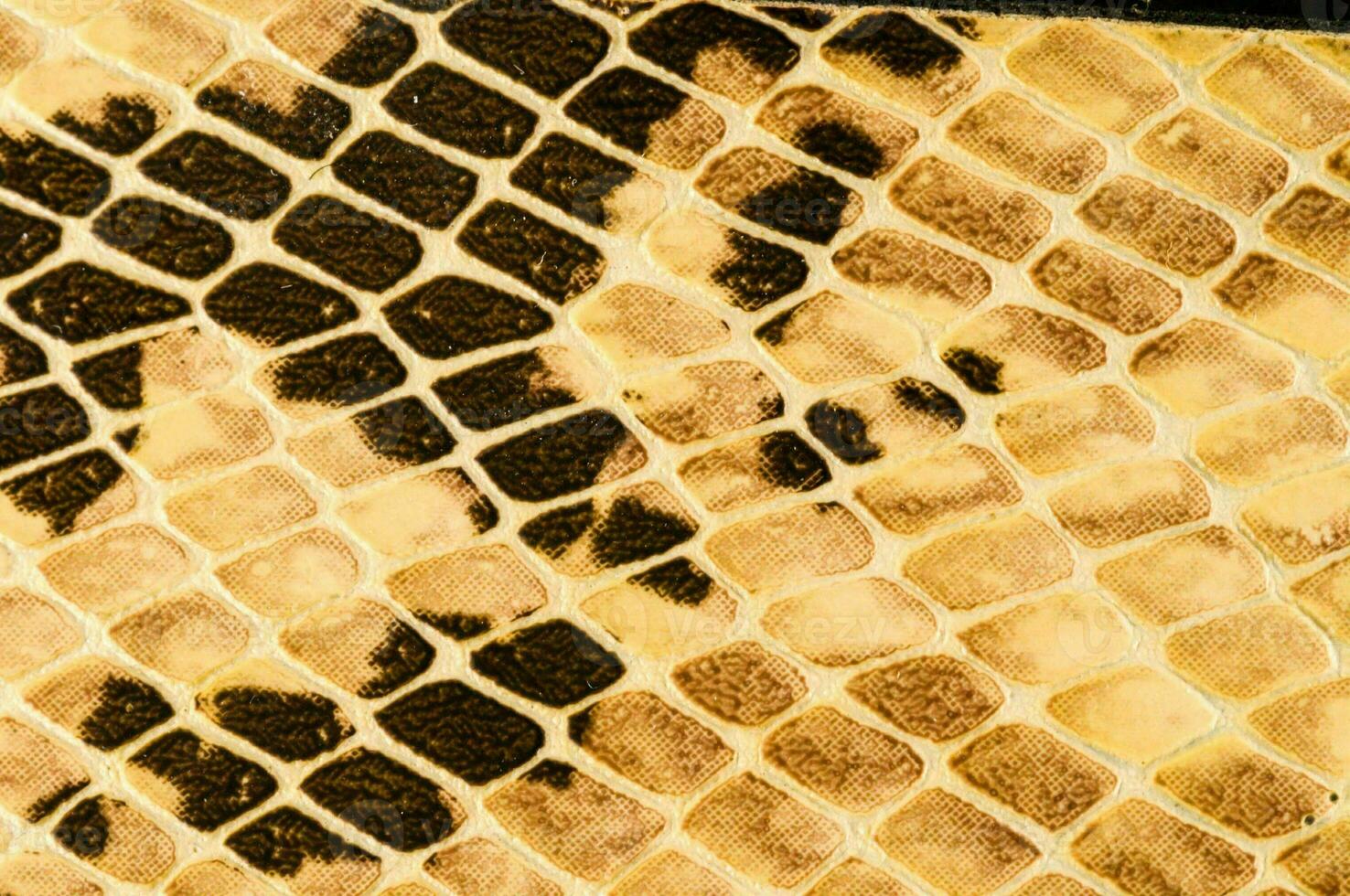a close up of a snake skin photo
