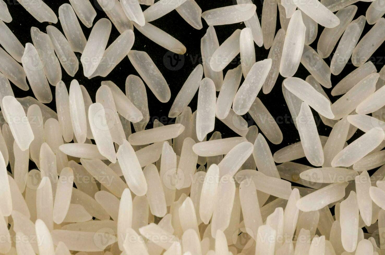 a close up of white rice photo
