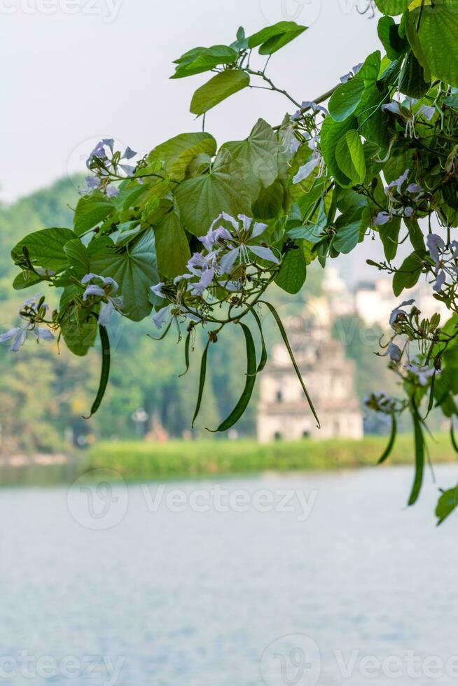 Hoan Kiem Lake - Ho Guom or Sword lake in the center of Hanoi in the fog in the morning. photo