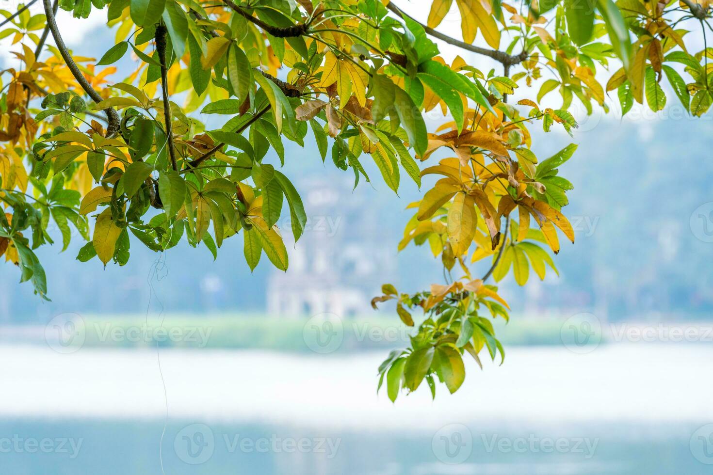 Hoan Kiem Lake - Ho Guom or Sword lake in the center of Hanoi in the fog in the morning. photo