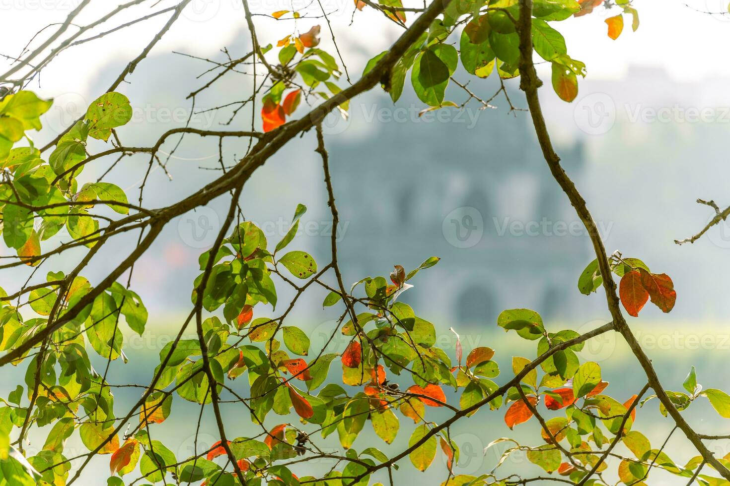 Hoan Kiem Lake - Ho Guom or Sword lake in the center of Hanoi in the fog in the morning. photo