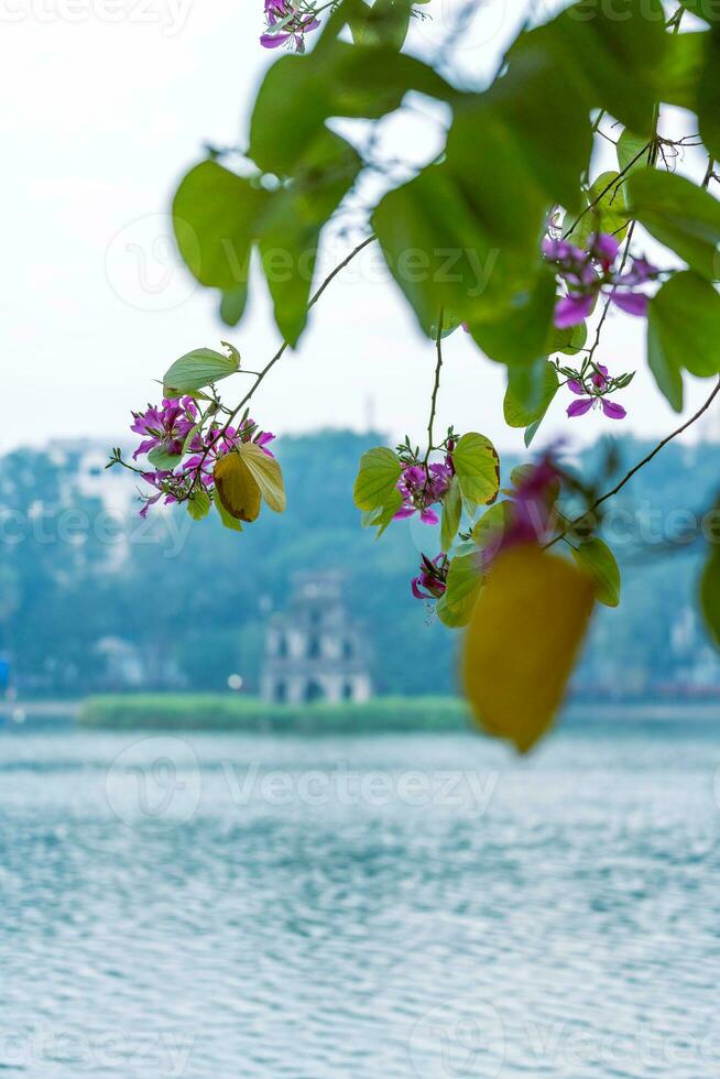 Hoan Kiem Lake - Ho Guom or Sword lake in the center of Hanoi in the fog in the morning. photo