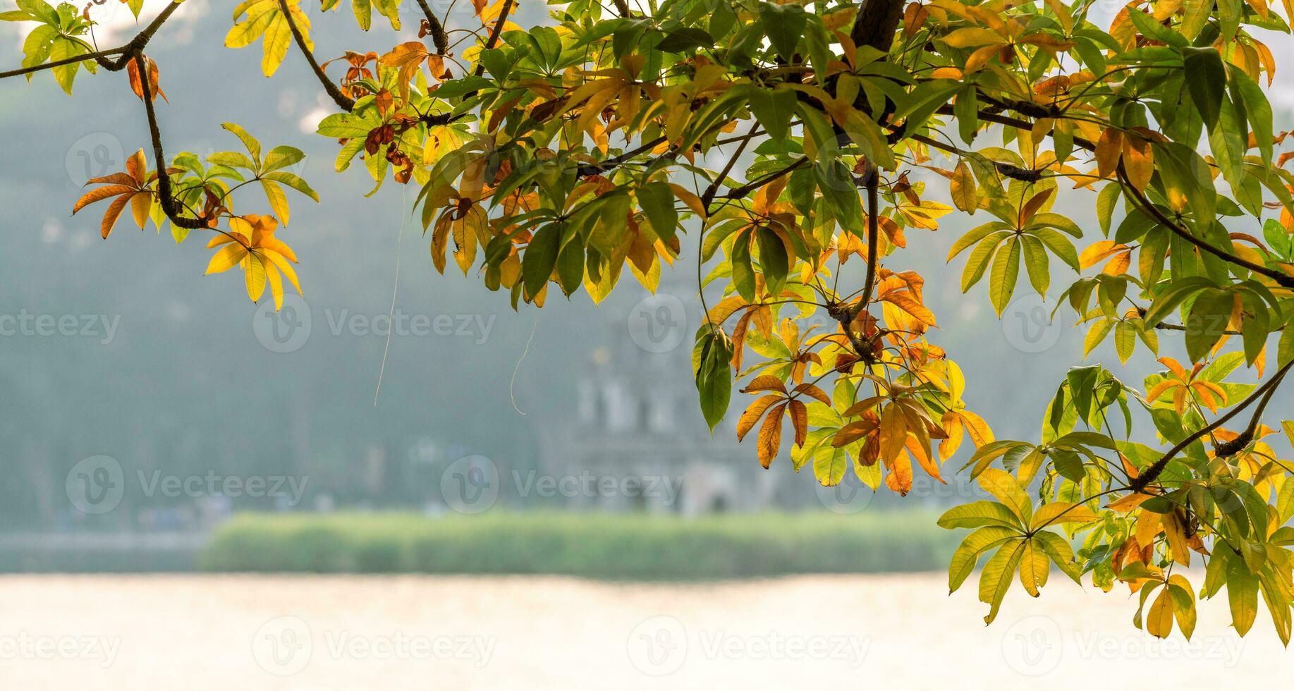 Hoan Kiem Lake - Ho Guom or Sword lake in the center of Hanoi in the fog in the morning. photo