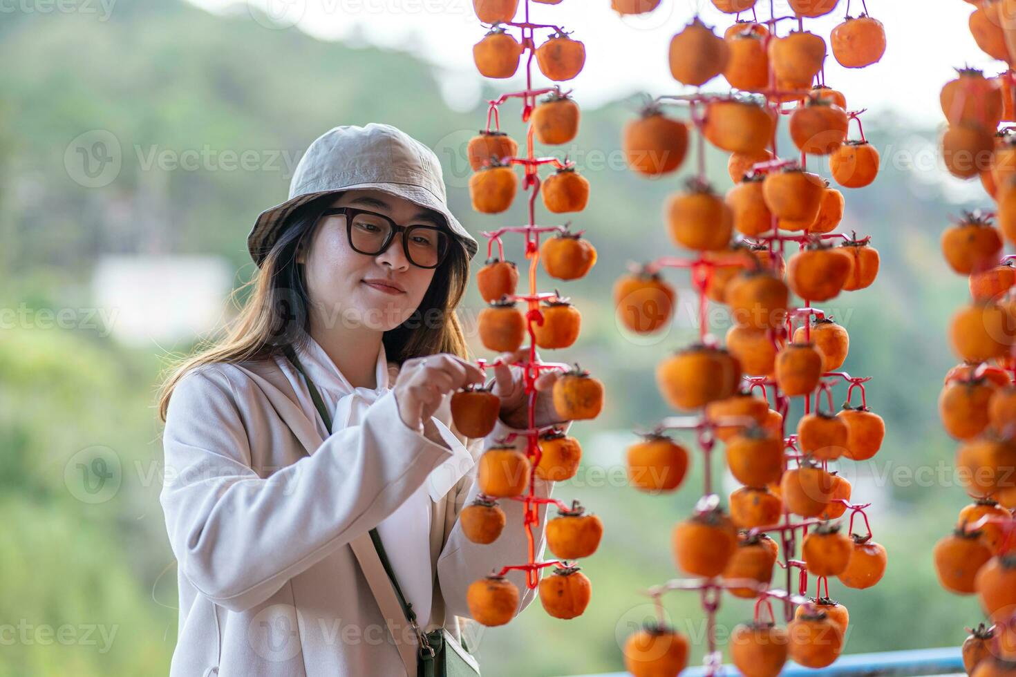 Young woman traveler enjoying dried persimmon hanged on strings to dry a common sight in Da Lat, Vietnam photo