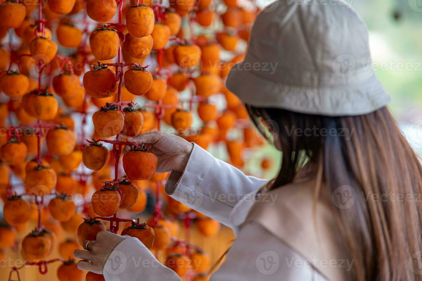 Young woman traveler enjoying dried persimmon hanged on strings to dry a common sight in Da Lat, Vietnam photo