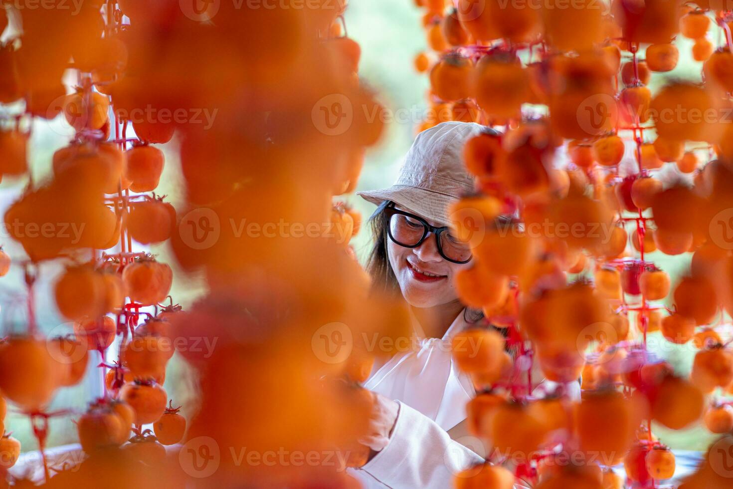 Young woman traveler enjoying dried persimmon hanged on strings to dry a common sight in Da Lat, Vietnam photo