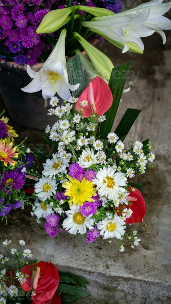 many flowers with different color photo